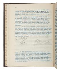 [TRAVEL] -- [BUSINESS]. European travel journal of Stillman R. Bingham (1829-1896), 1894.