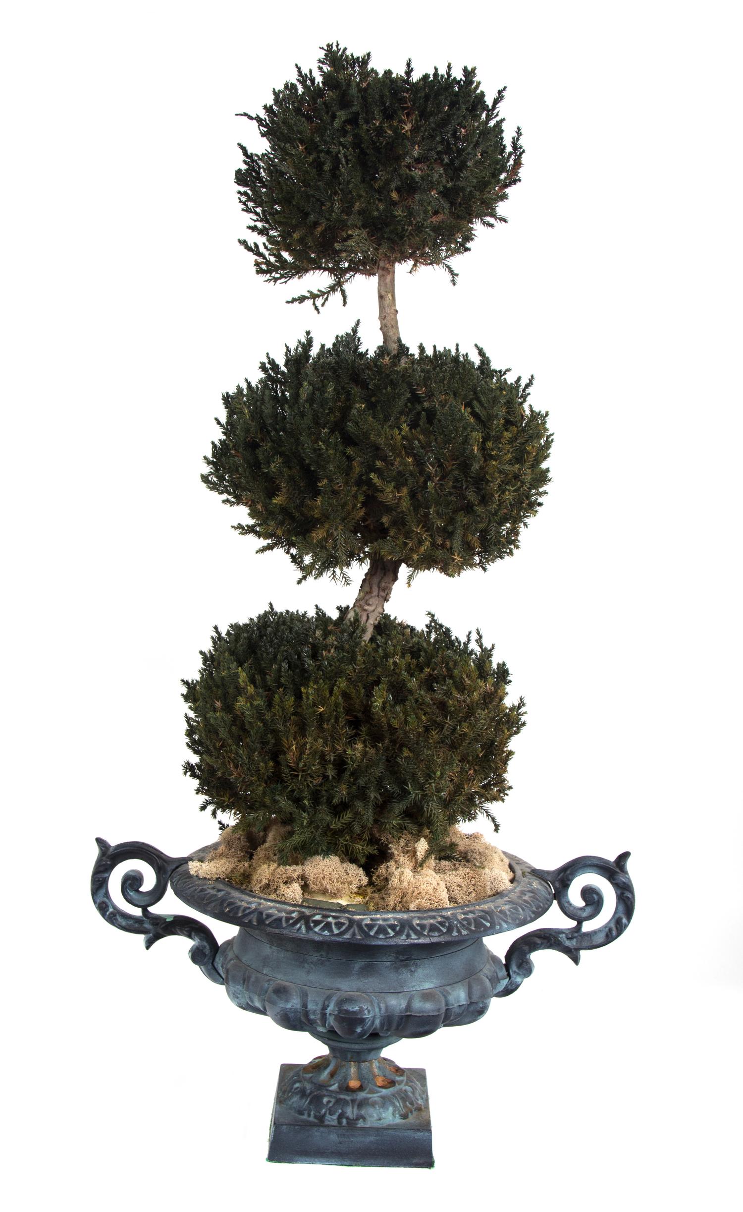 A Black Painted Cast Metal Jardiniere Height 10 inches.