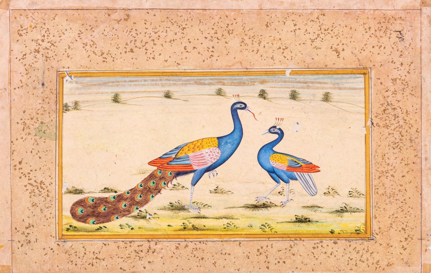 Four Indian and Islamic Miniature Paintings Depicting Birds