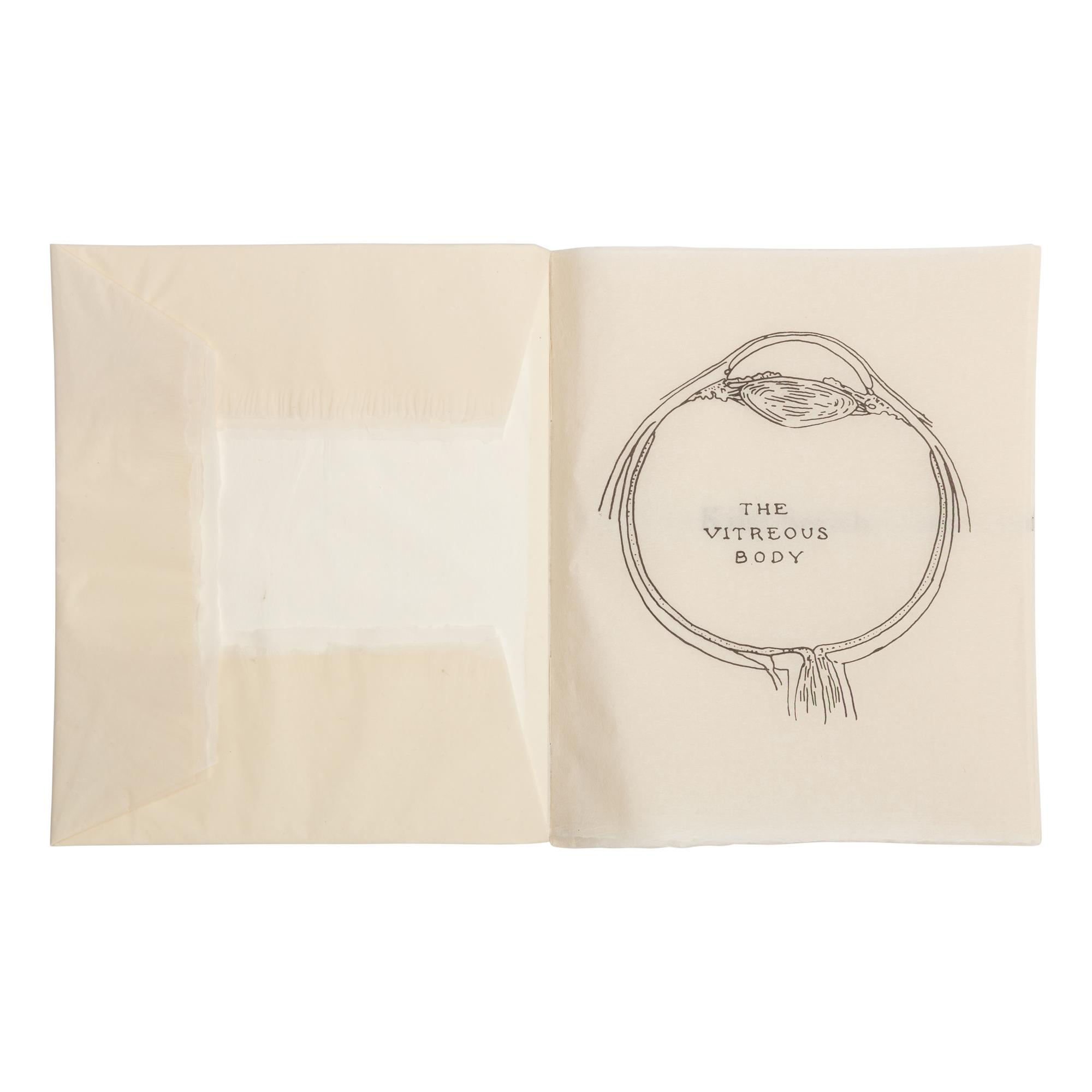 Kiki Smith (American, b. 1954) — The Vitreous Body (complete portfolio of eighteen with justification page and text by Parmenides of Elea), 2000
