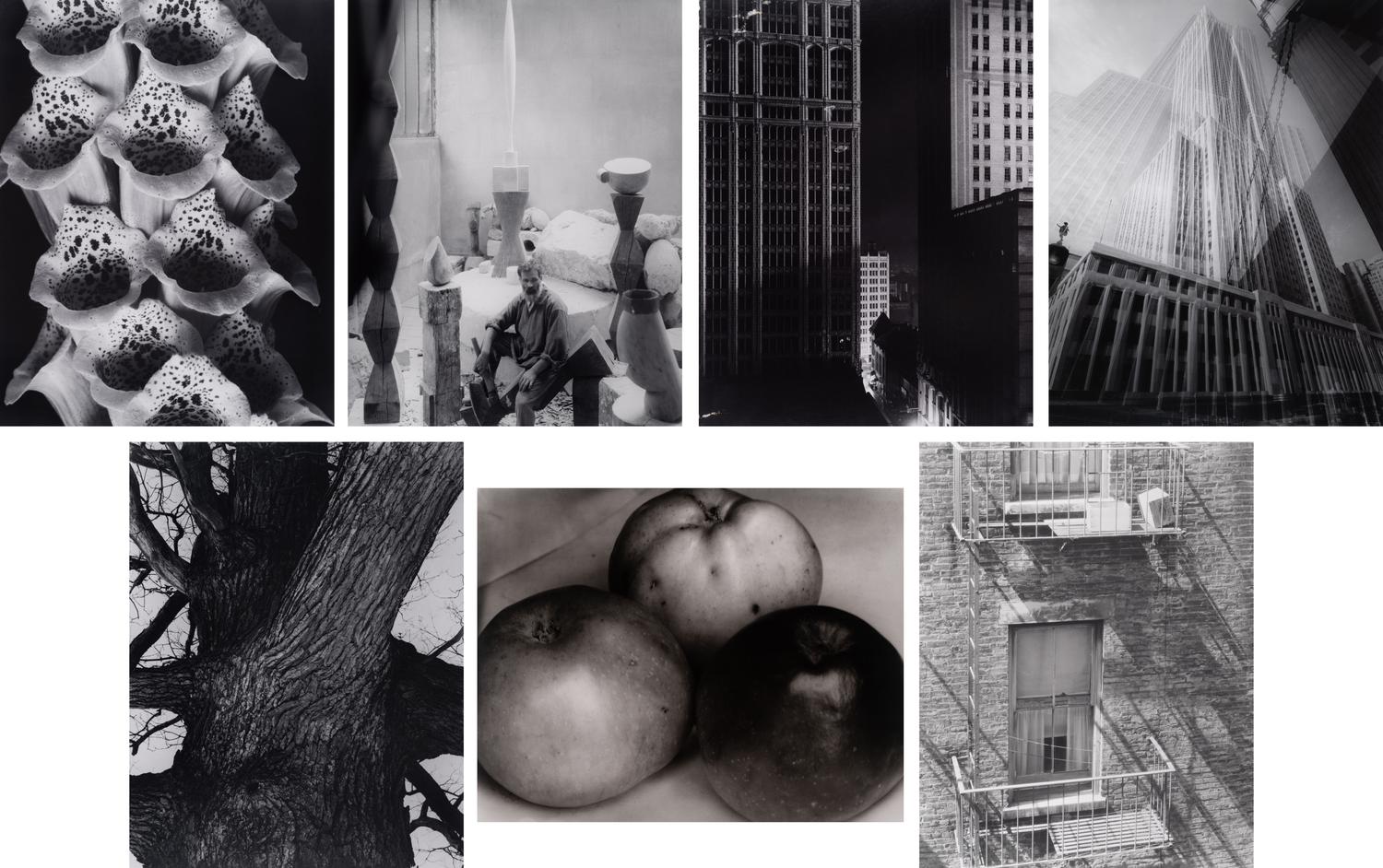 A group of twenty-one photographs (from Twenty-five Photographs printed by George Tice with labels signed by George Tice and Joanna Steichen)