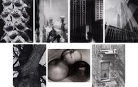 A group of twenty-one photographs (from Twenty-five Photographs printed by George Tice with labels signed by George Tice and Joanna Steichen)