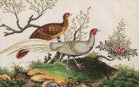 A Set of Twelve Chinese Export Watercolor and Pith Paintings