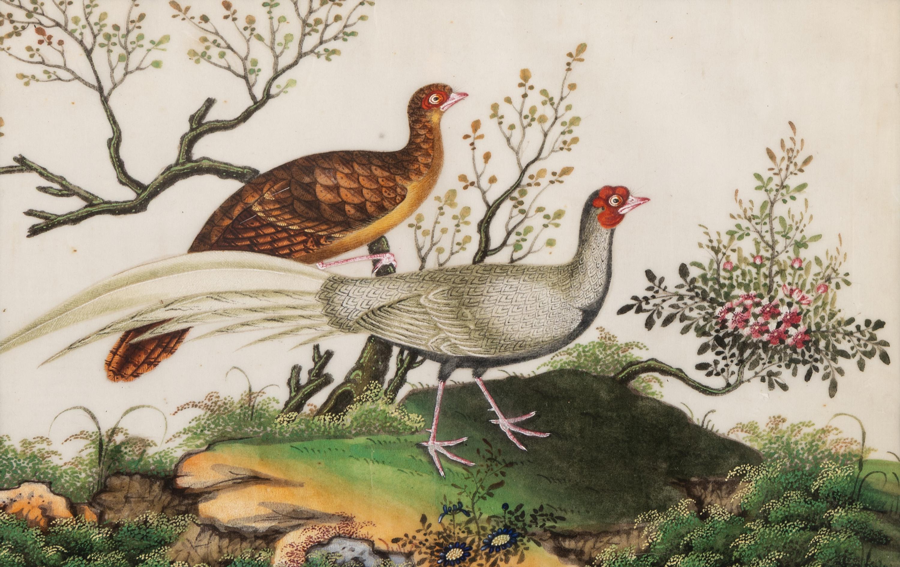 A Set of Twelve Chinese Export Watercolor and Pith Paintings