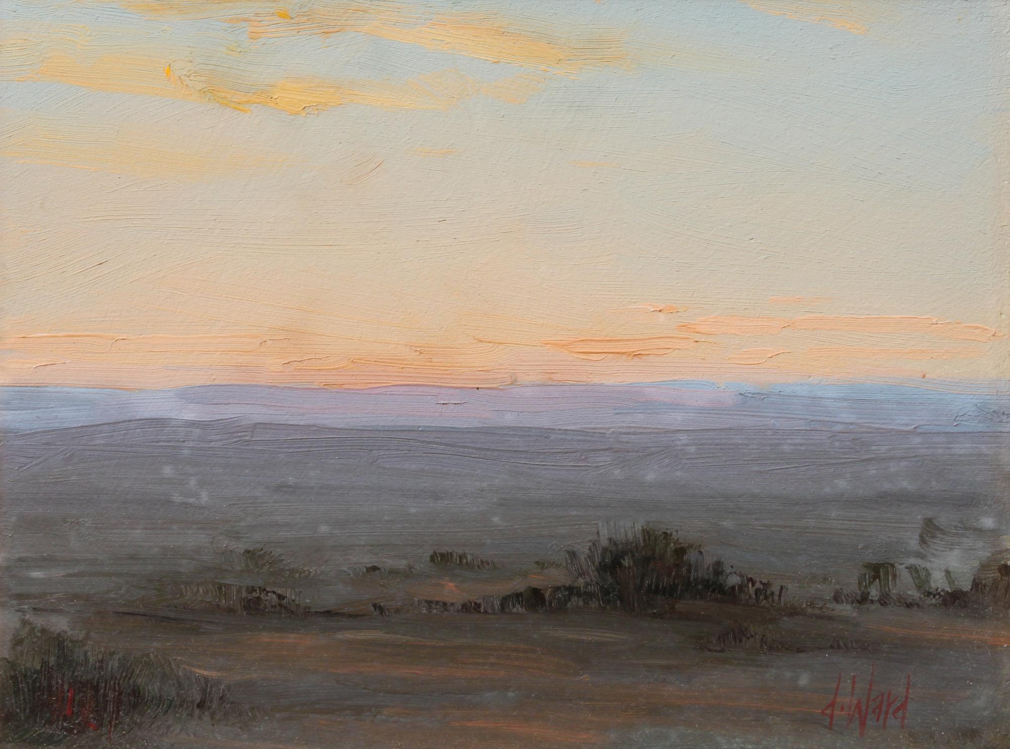 Don Ward, (American, b. 1947), Untitled