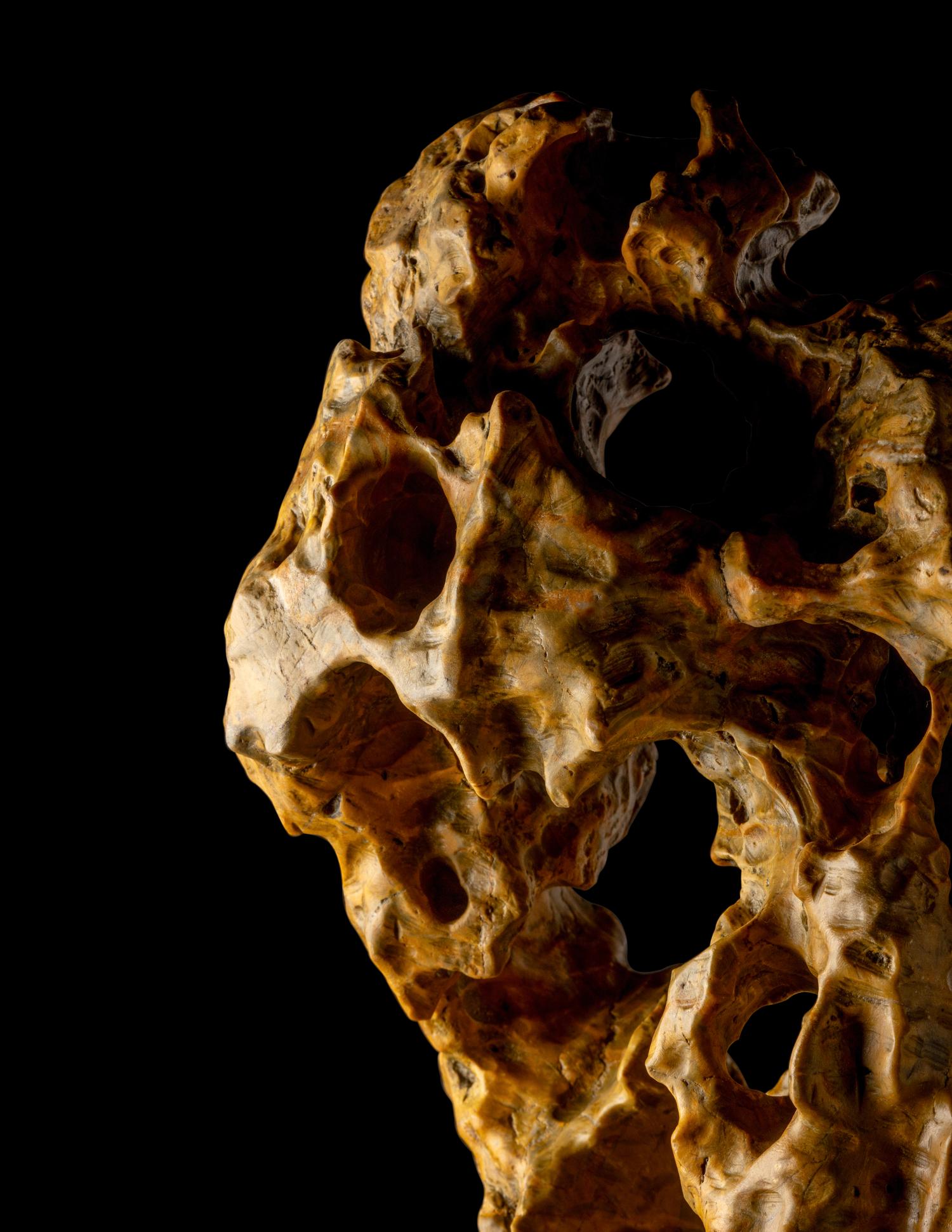 A Chinese Scholar's Rock