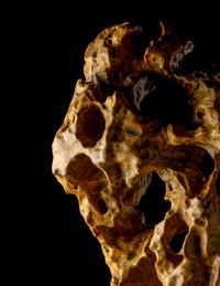A Chinese Scholar's Rock