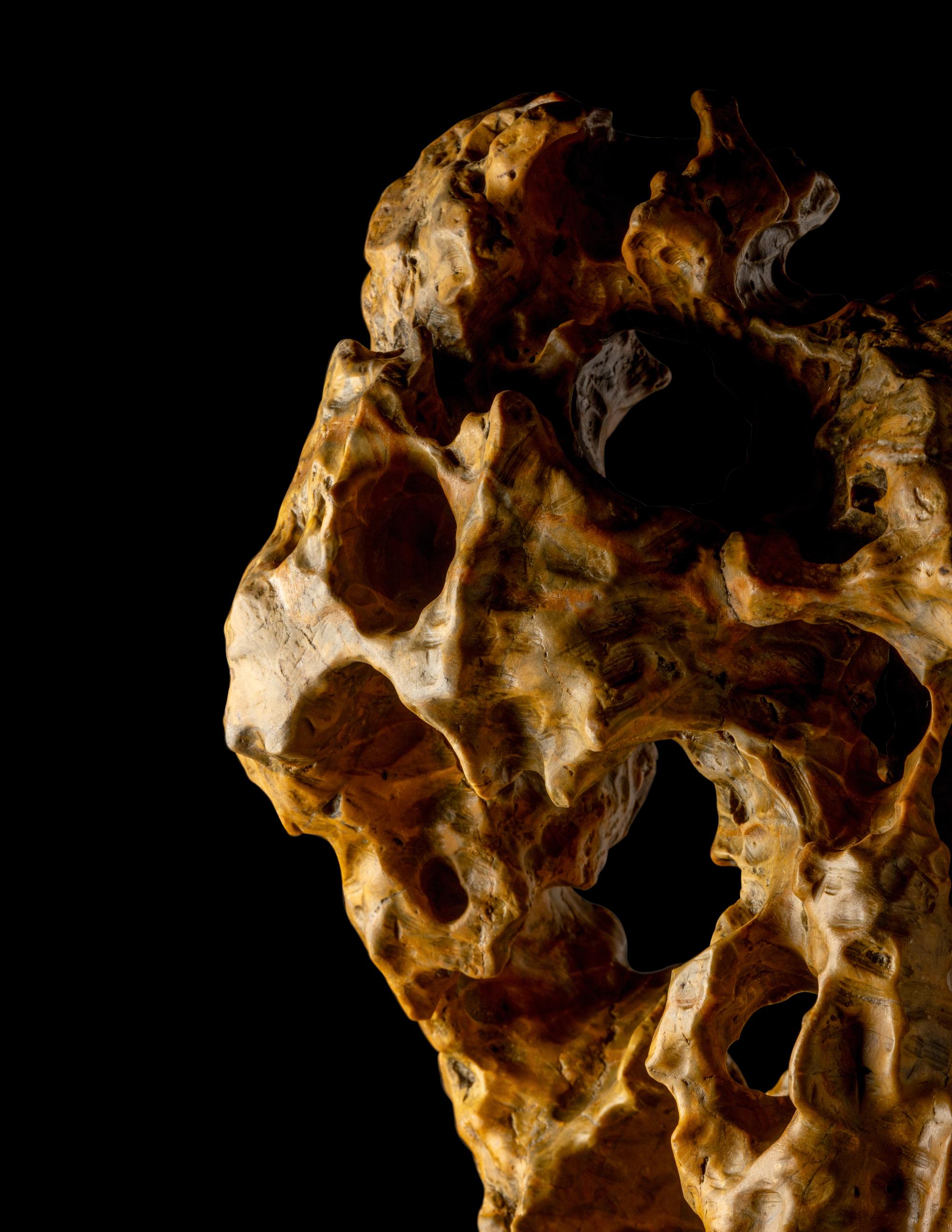 A Chinese Scholar's Rock