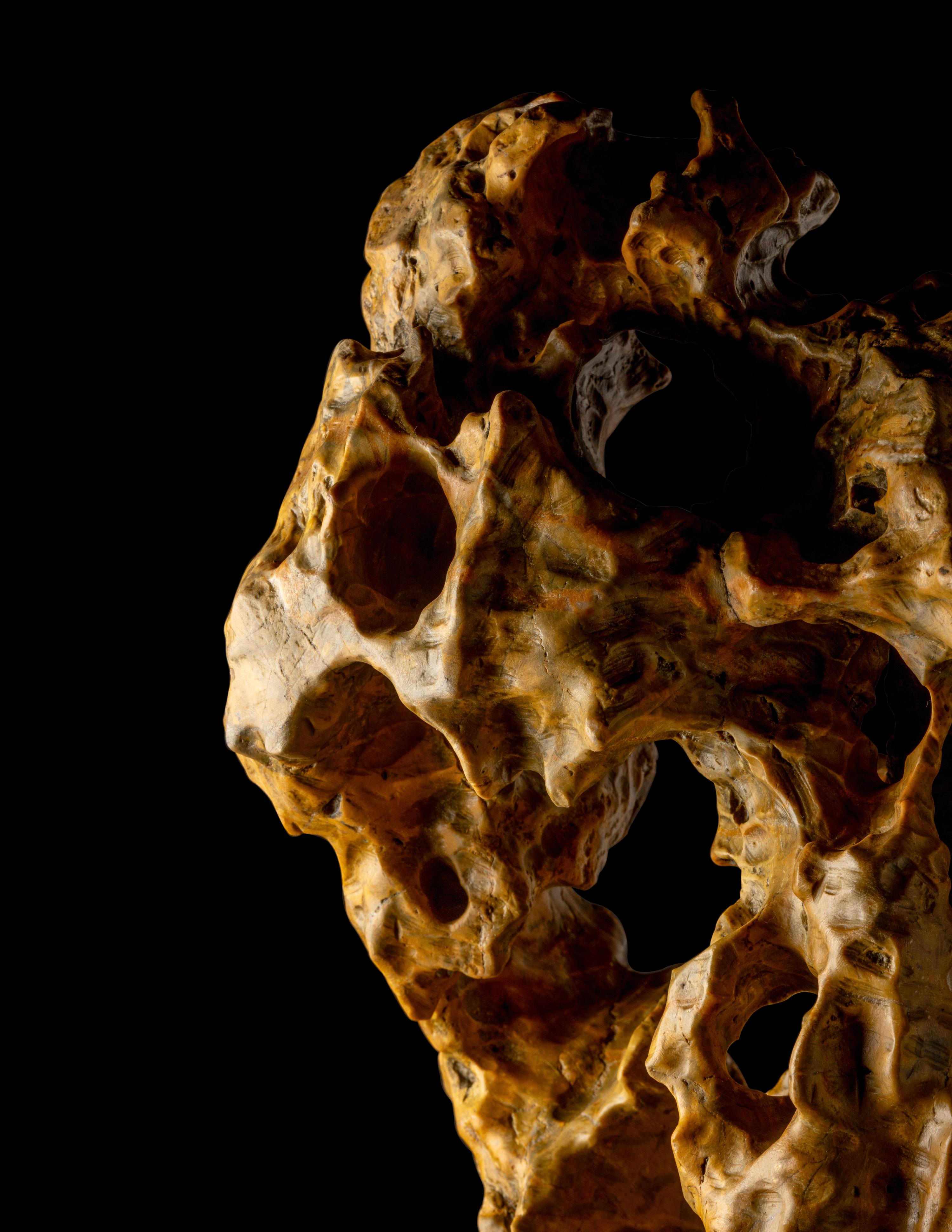 A Chinese Scholar's Rock