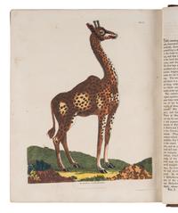 [NATURAL HISTORY]. BUFFON, Georges-Louis Leclerc, Comte de (1707-1788). A Natural History, General and Particular, Containing the History and Theory of the Earth... London: Printed for Thomas Kelly by W. Clowes, n.d. [watermarked 1818].