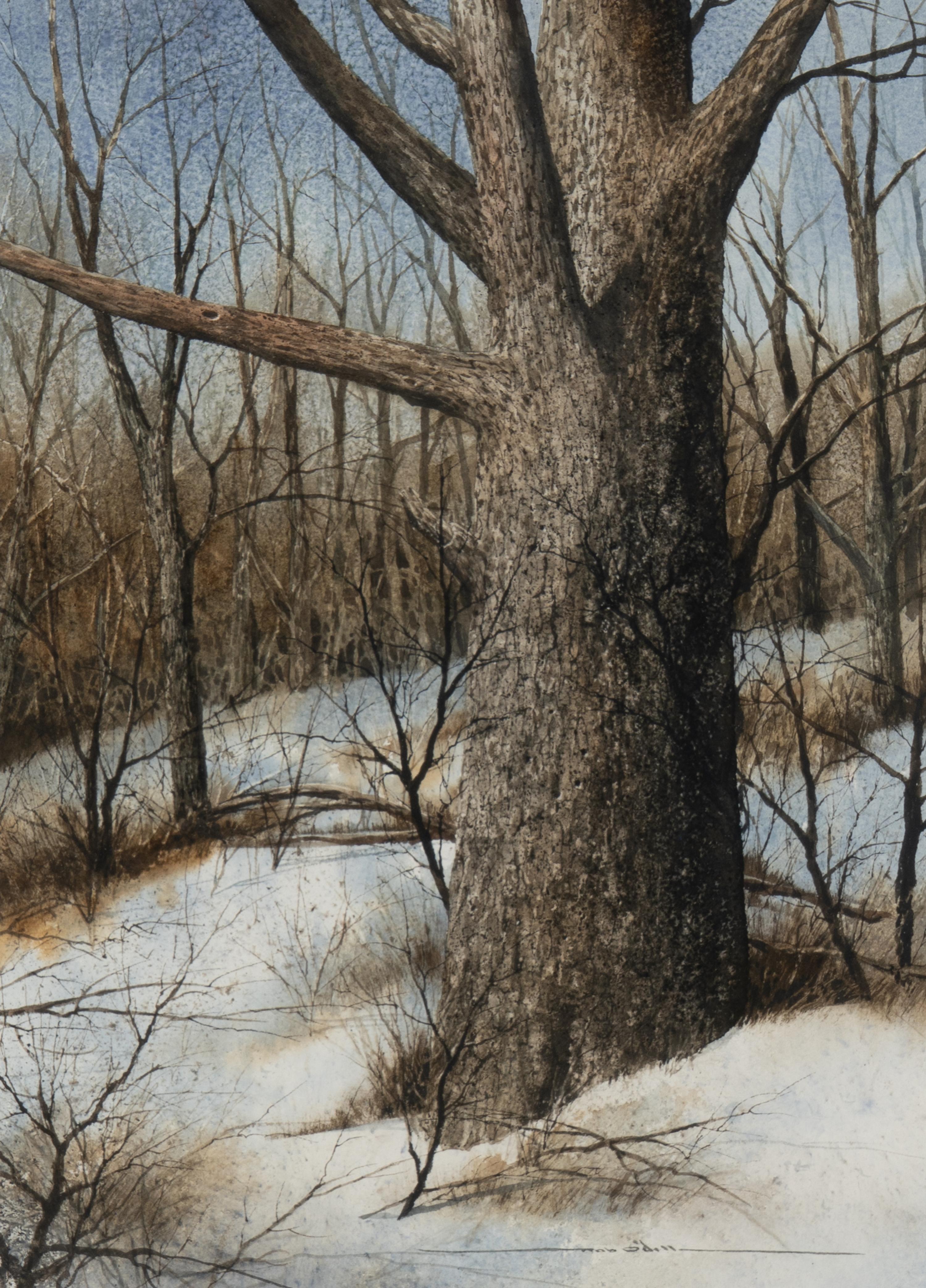 Pleasures of the Pathless Woods