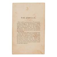 [EARLY PHOTOGRAPHY]. Curious CDV of "The Gorilla" holding bent rifle. [Amherst, Massachusetts]: [J.L. Lovell], [ca 1860s].