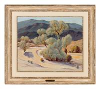 Smoke Tree Wash