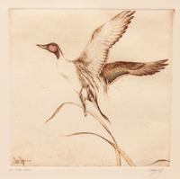 Four Prints: Leftovers , edition 23/100; Trout , edition 31/100; Ruffed Grouse , edition60/100; Pintail Rising, Artist's Proof