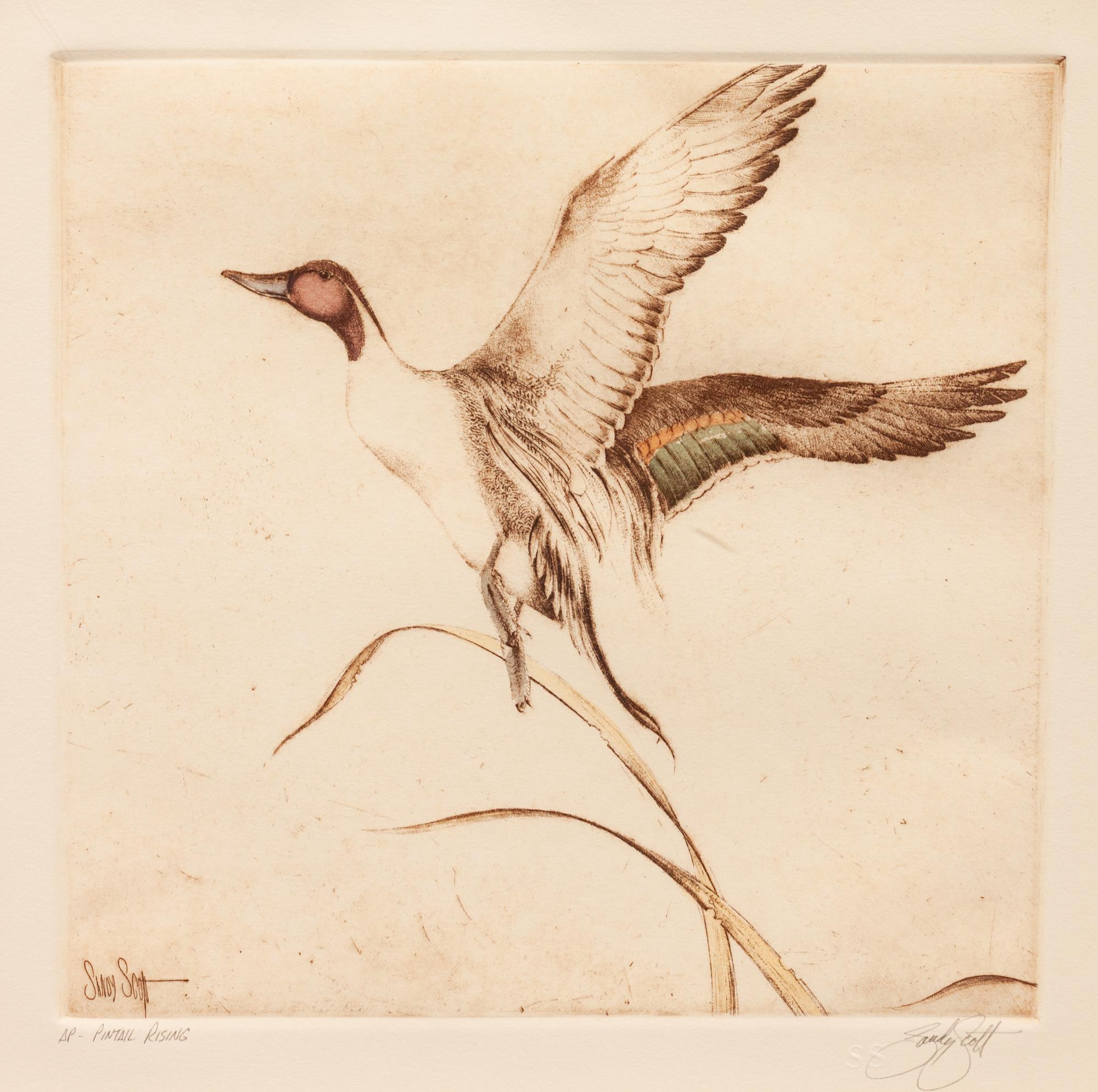 Four Prints: Leftovers , edition 23/100; Trout , edition 31/100; Ruffed Grouse , edition60/100; Pintail Rising, Artist's Proof