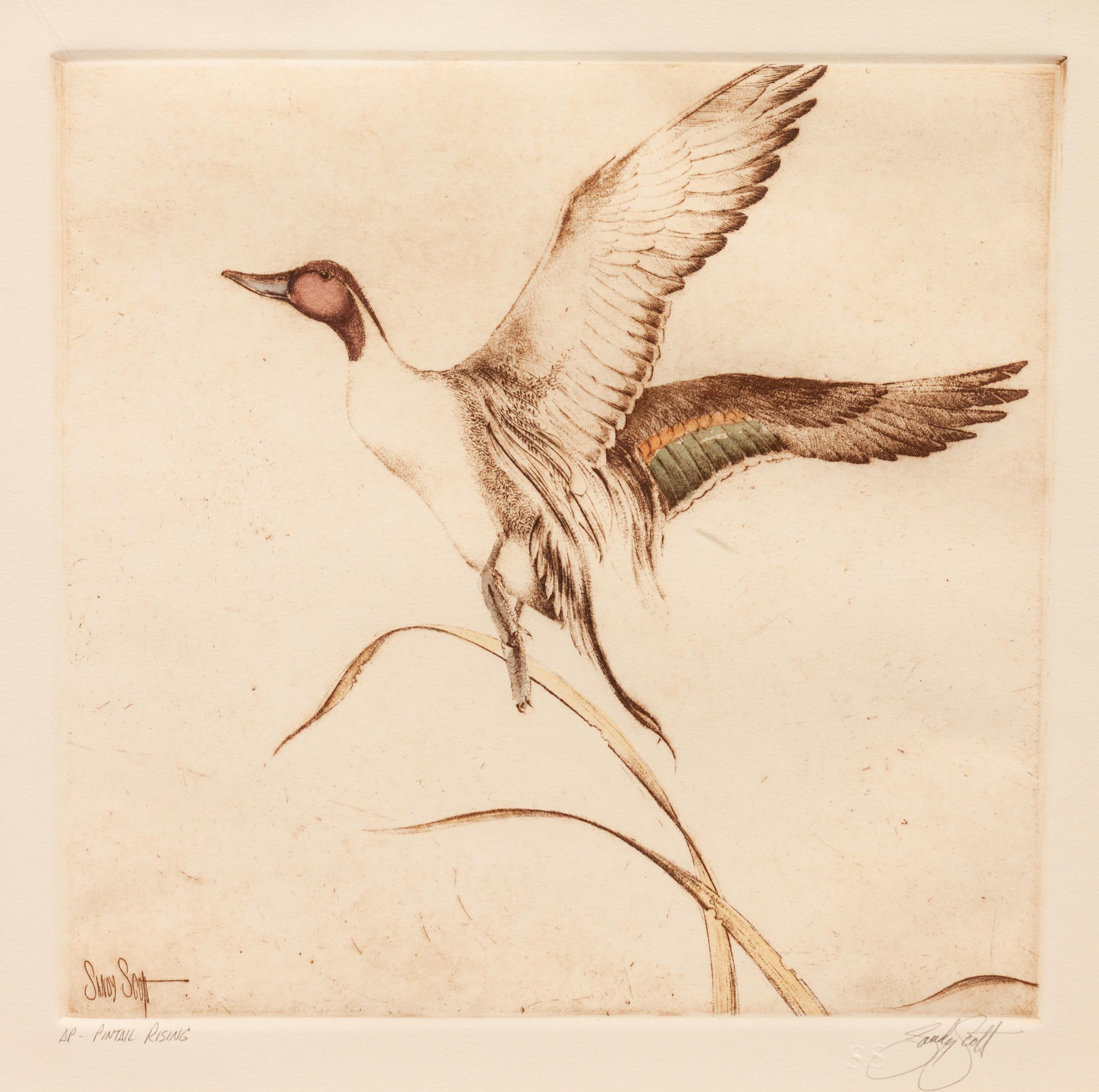 Four Prints: Leftovers , edition 23/100; Trout , edition 31/100; Ruffed Grouse , edition60/100; Pintail Rising, Artist's Proof
