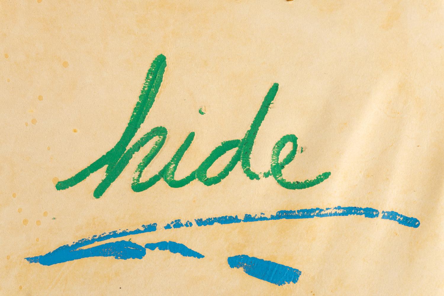 Hide