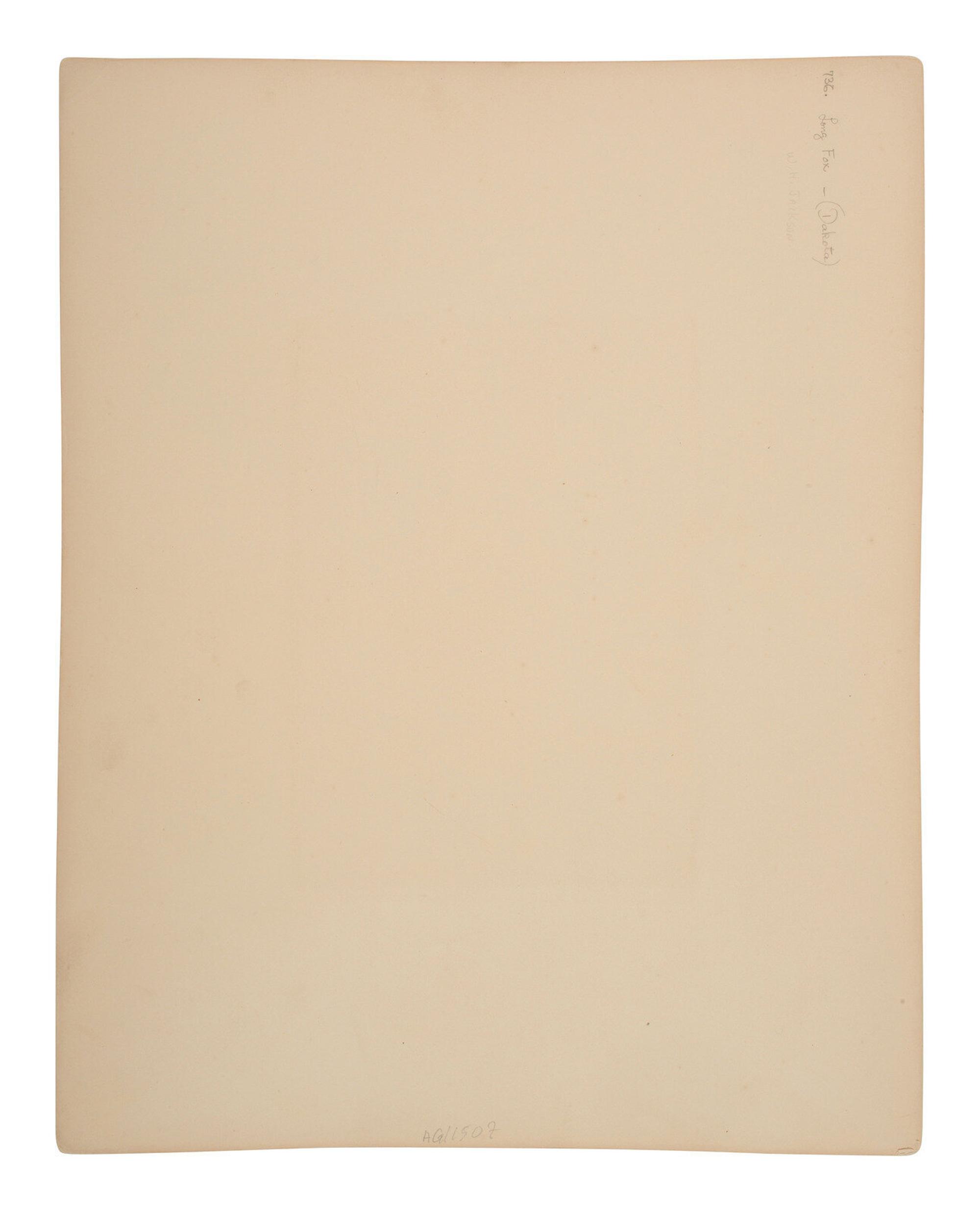 [Gardner, Alexander (1821-1882), photographer]. Albumen photograph of Long Fox, Dakota. [Washington, D.C., 1872].