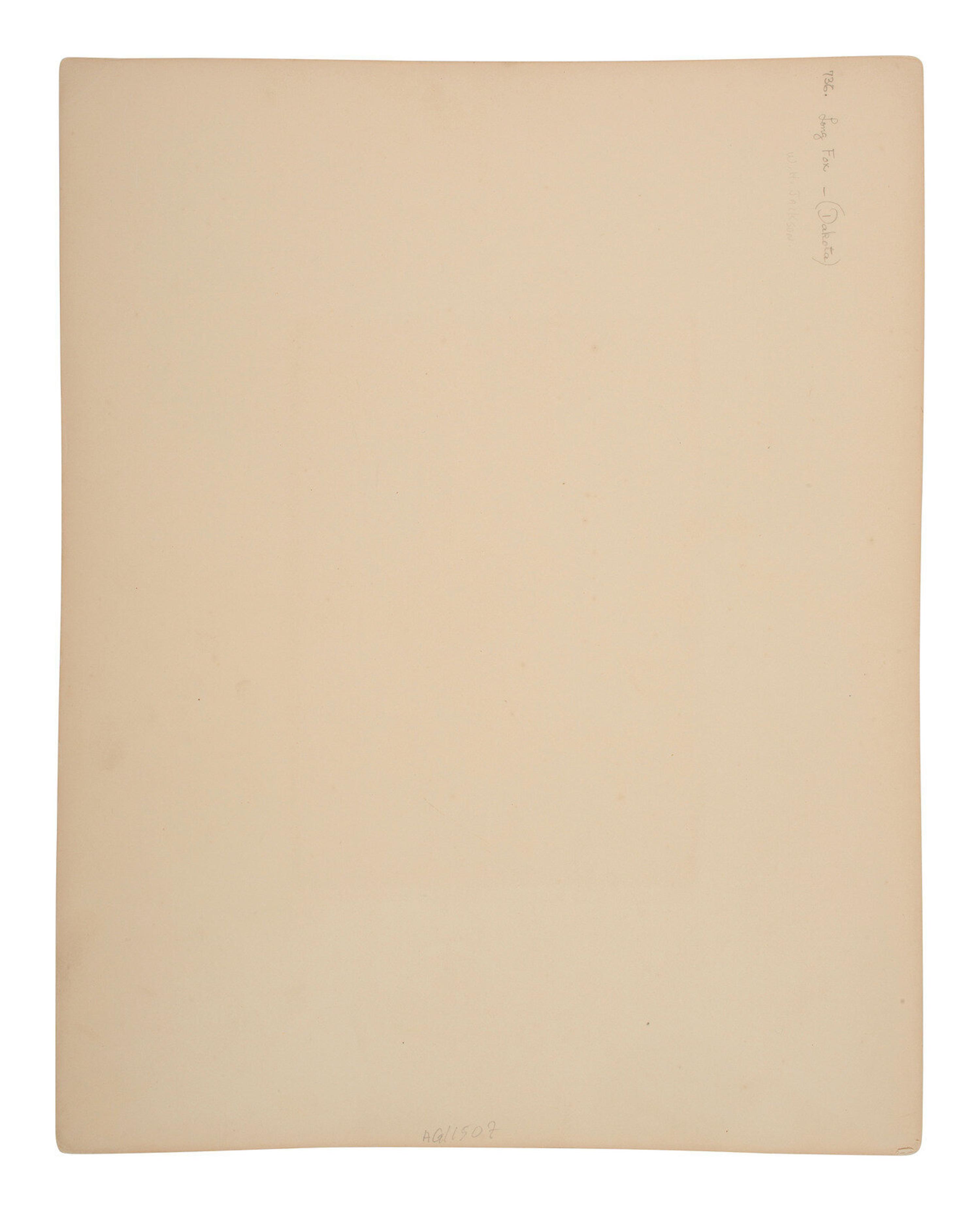 [Gardner, Alexander (1821-1882), photographer]. Albumen photograph of Long Fox, Dakota. [Washington, D.C., 1872].