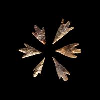 101 Neolithic Flint Points