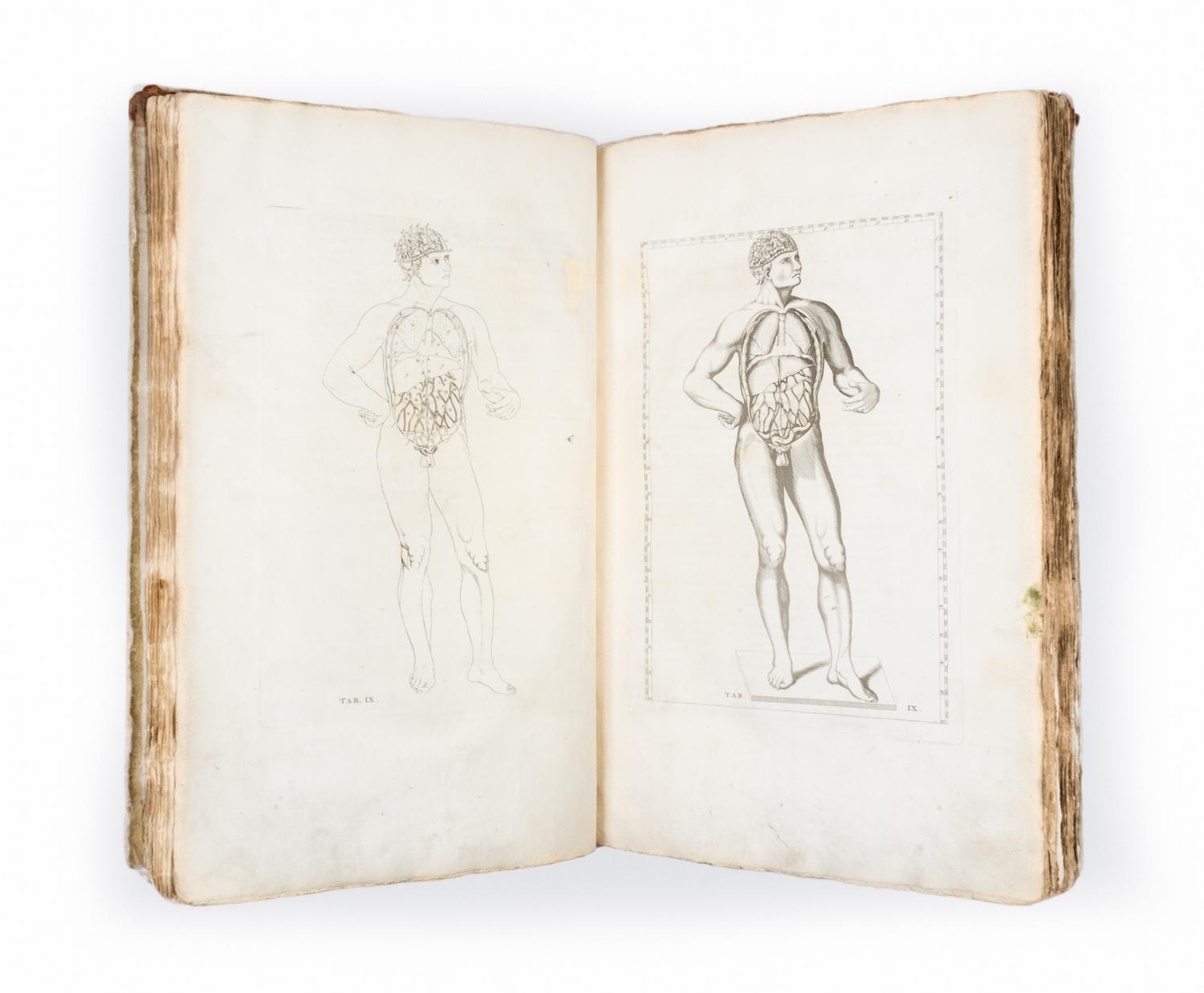 (ANATOMY) EUSTACHI, BARTOLOMEO and BERNHARD ALBINUS. Bernardi Siegfried Albini...Leiden, 1761. Second edition.
