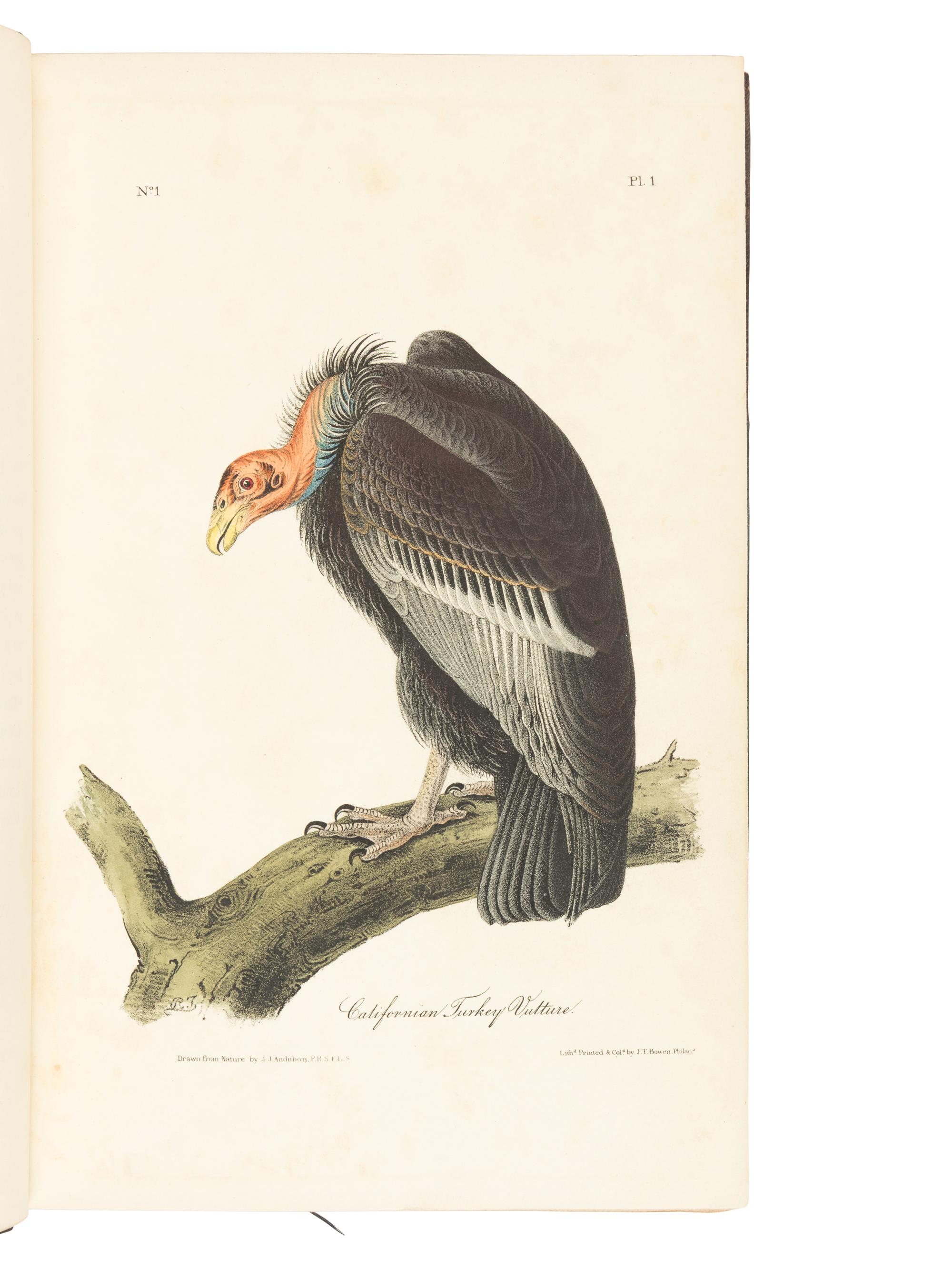 [AMERICANA]. AUDUBON, John James (1785-1851). The Birds of America, from Drawings Made in the United States and their Territories . New York and Philadelphia: J.J. Audubon and J.B. Chevalier, [1839-] 1840-1844.