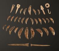 A Frame of Drilled Teeth, Bone Hairpins, and Fish Hooks