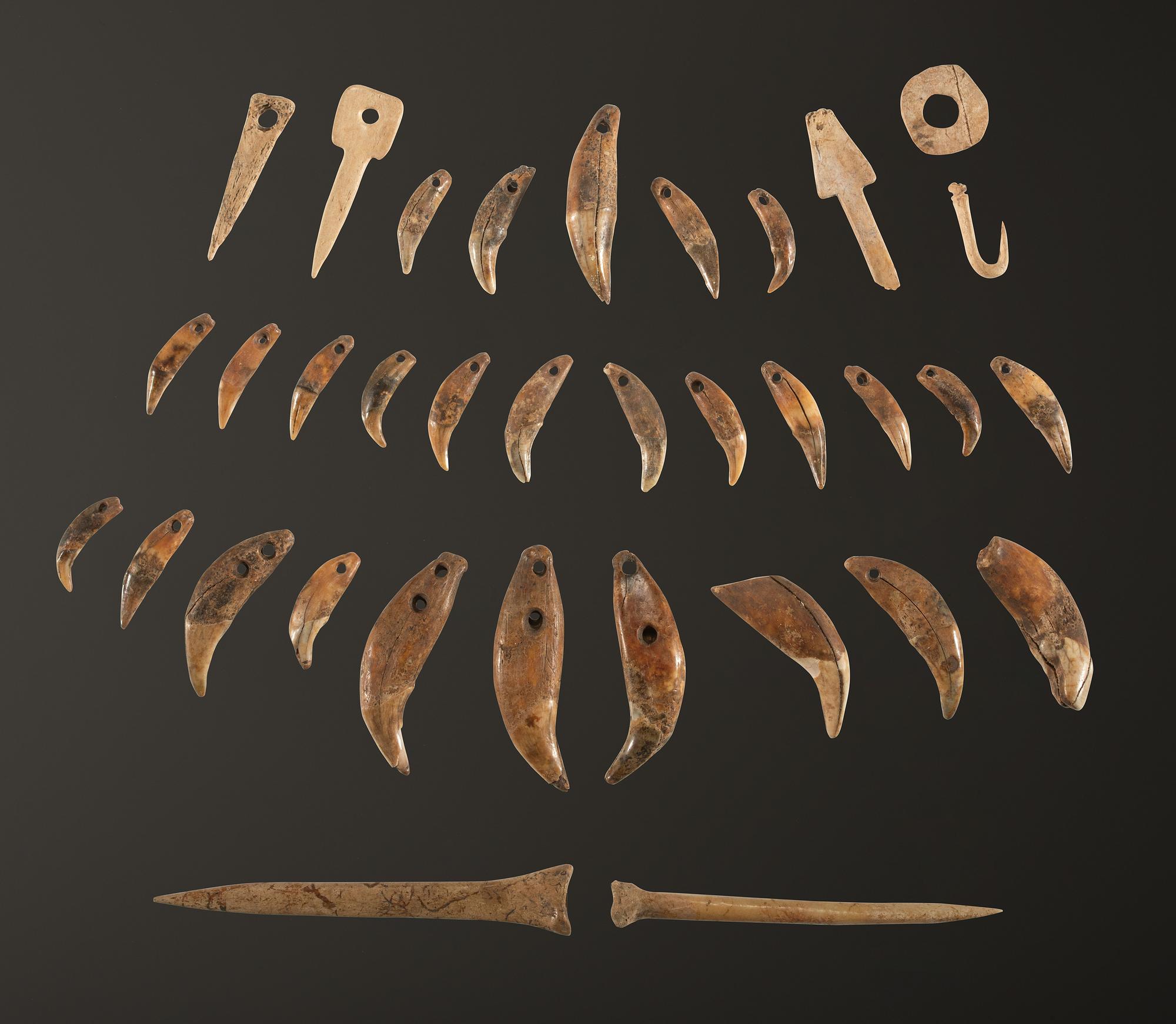 A Frame of Drilled Teeth, Bone Hairpins, and Fish Hooks