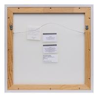 Plate/Shift #2 , 2005-2006