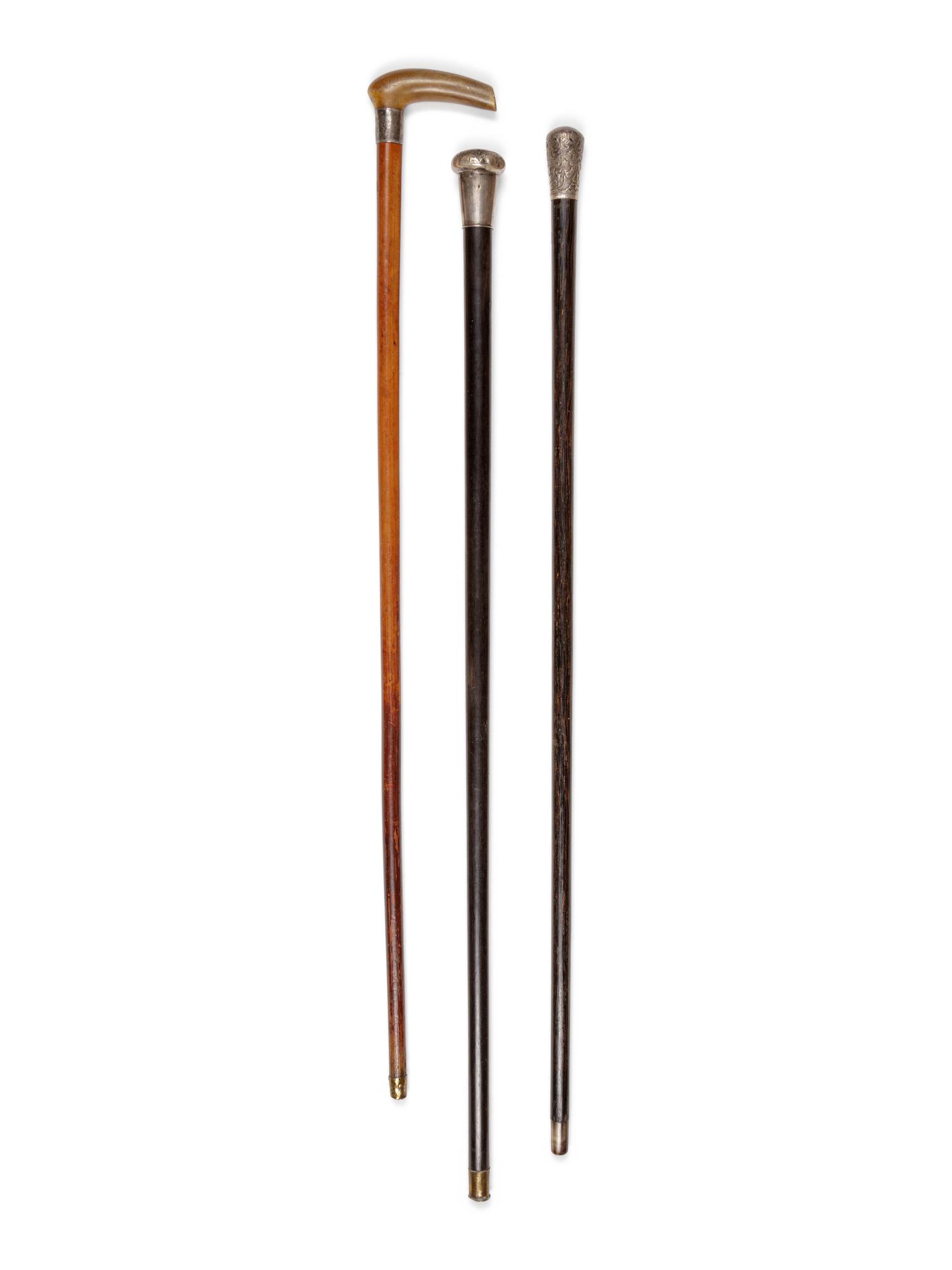 Three European Music System Walking Sticks