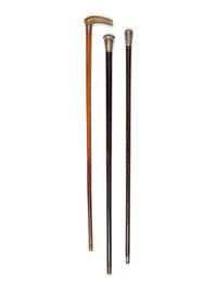 Three European Music System Walking Sticks