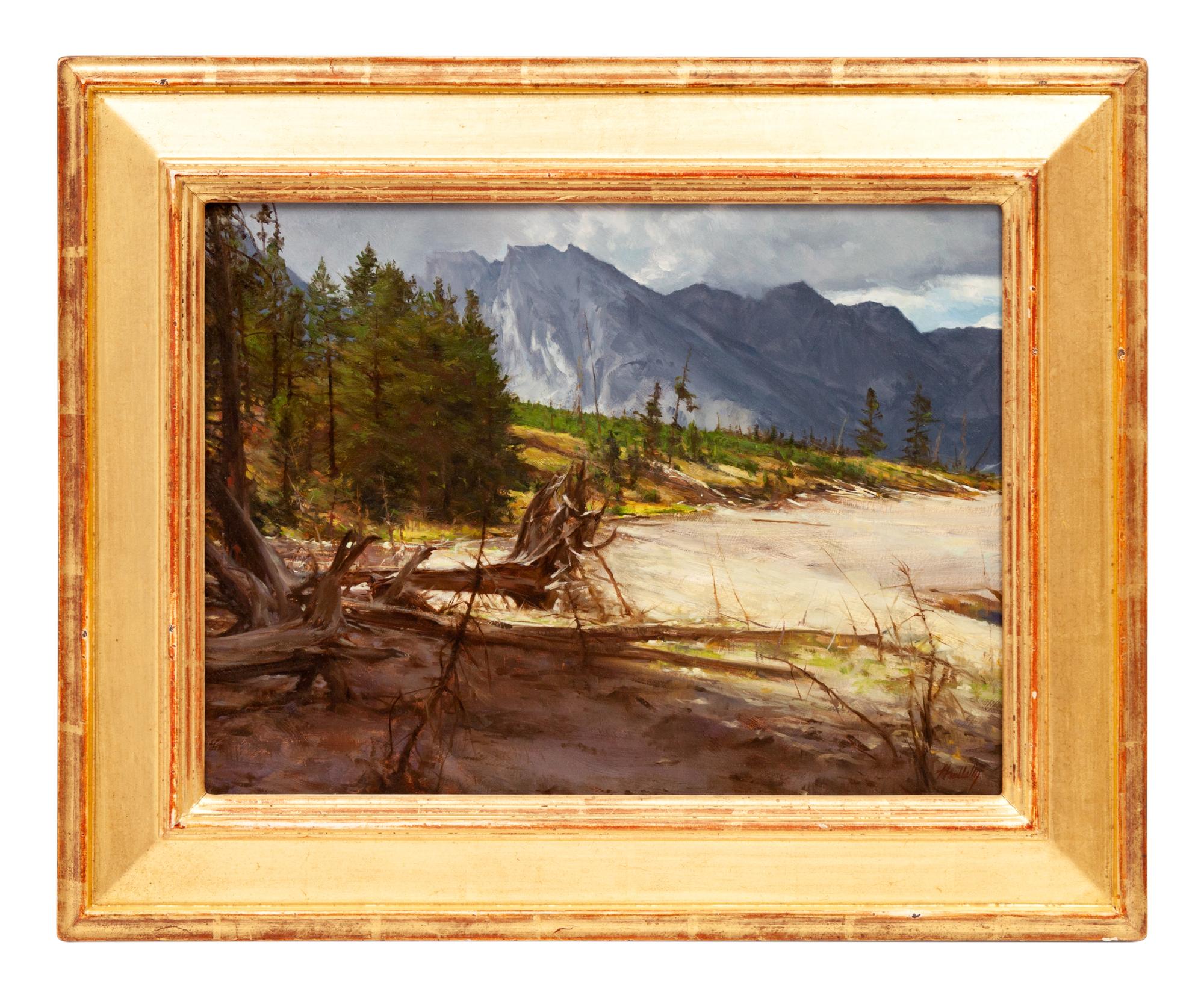 Mountain Storm