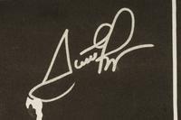 A 1998 Scottie Pippen Signed Chicago Bulls "Last Dance" Era NBA Champions Chicago Large Street Banner