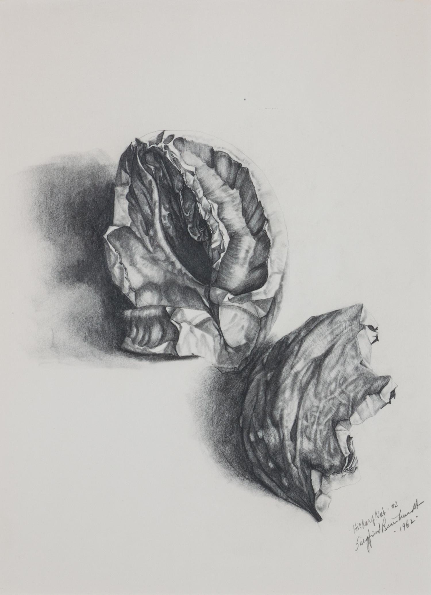 Siegfried Reinhardt, (American, 1925-1984), Botanical Studies, 1962