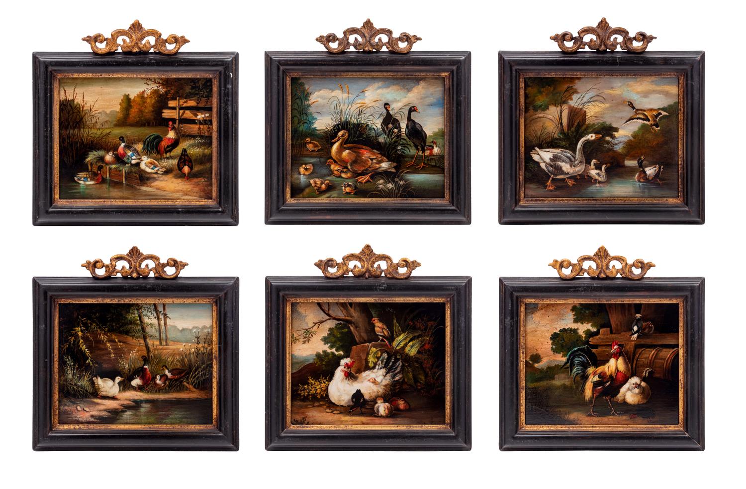 A group of six paintings depicting fowl (18th/19th Century)