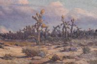 Arizona Desert