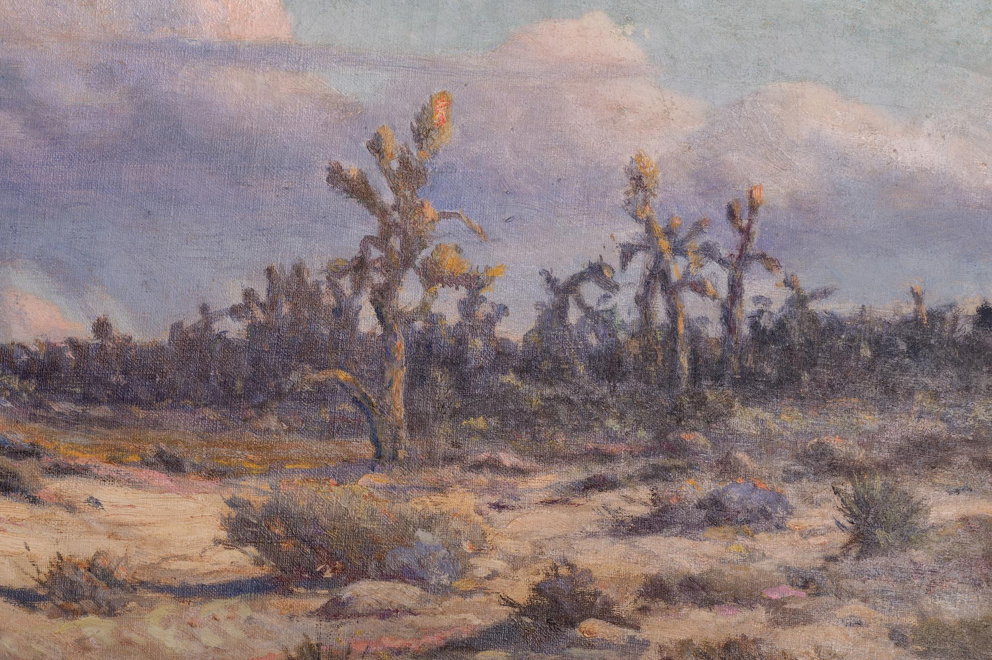 Arizona Desert