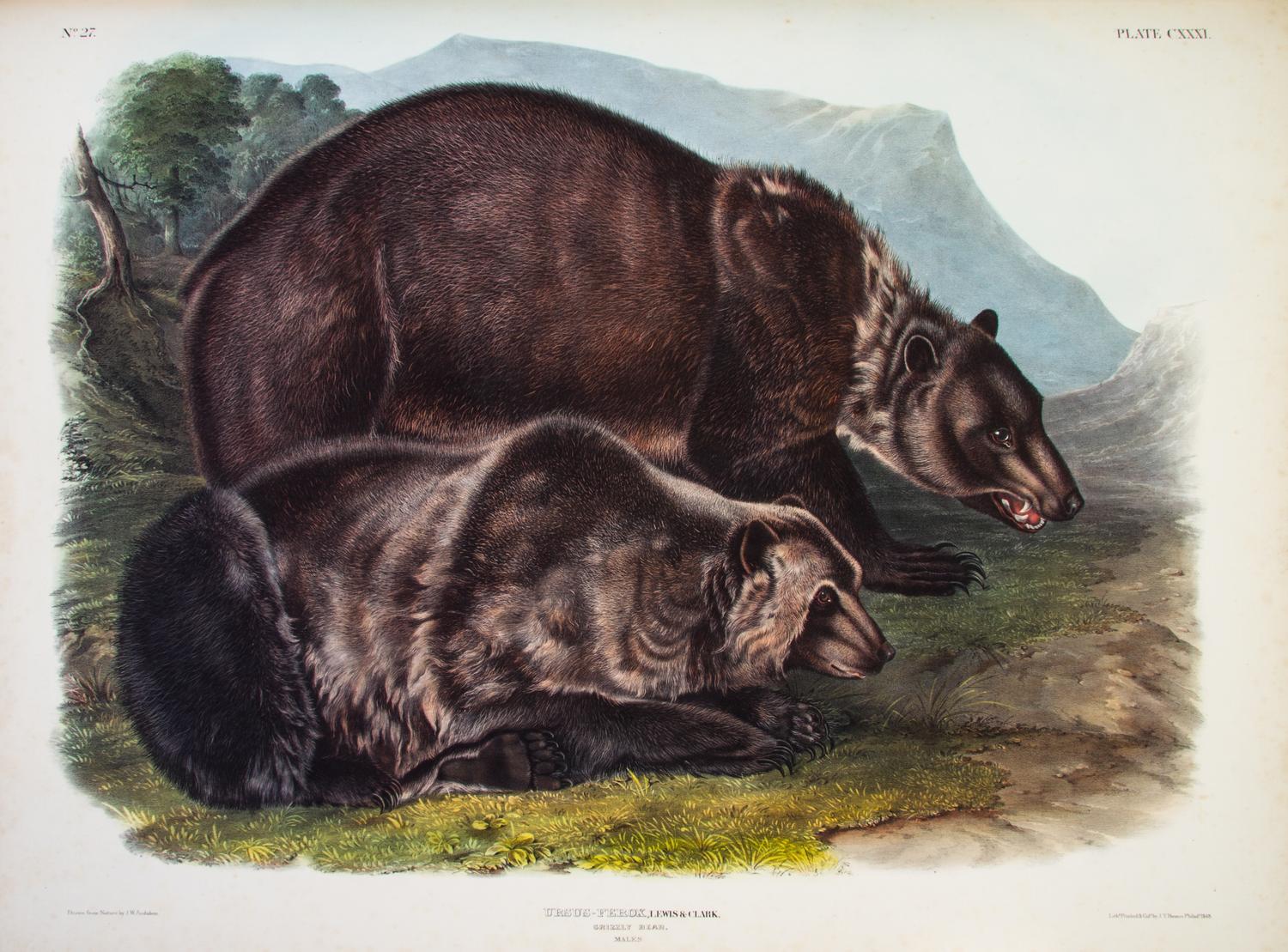 AUDUBON, JOHN JAMES, AND JOHN BACHMAN. The Viviparous Quadrupeds of North America. New York, 1845-1848. 3 vols. First edition.
