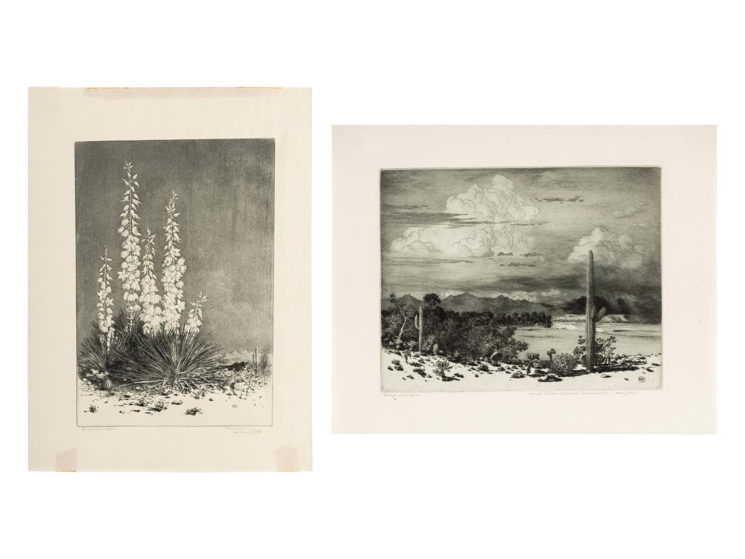 Two Works: Verde River, Apache Reservation, Arizona and Soap Weed