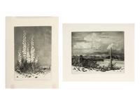 Two Works: Verde River, Apache Reservation, Arizona and Soap Weed
