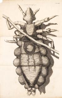 HOOKE, ROBERT. Micrographia Restaurata... London, 1745. Second edition, complete.
