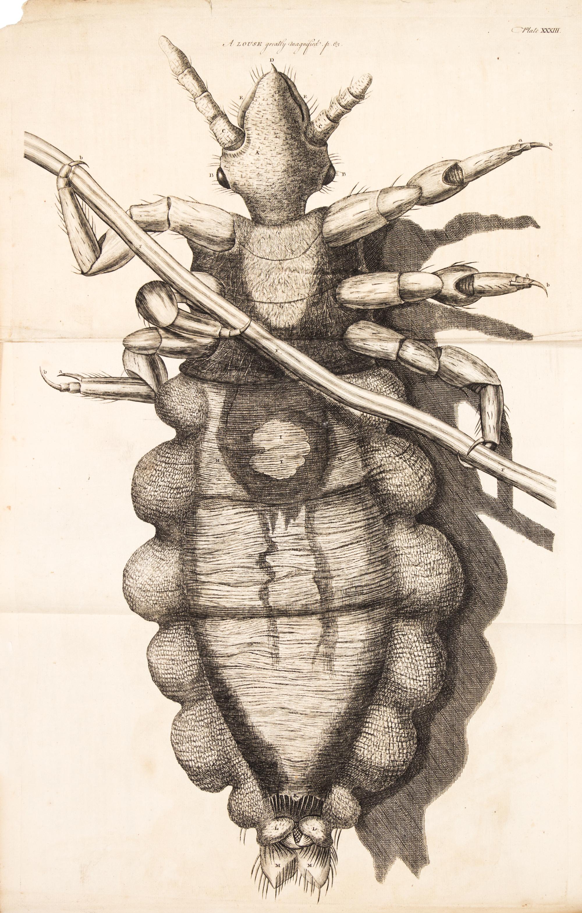 HOOKE, ROBERT. Micrographia Restaurata... London, 1745. Second edition, complete.