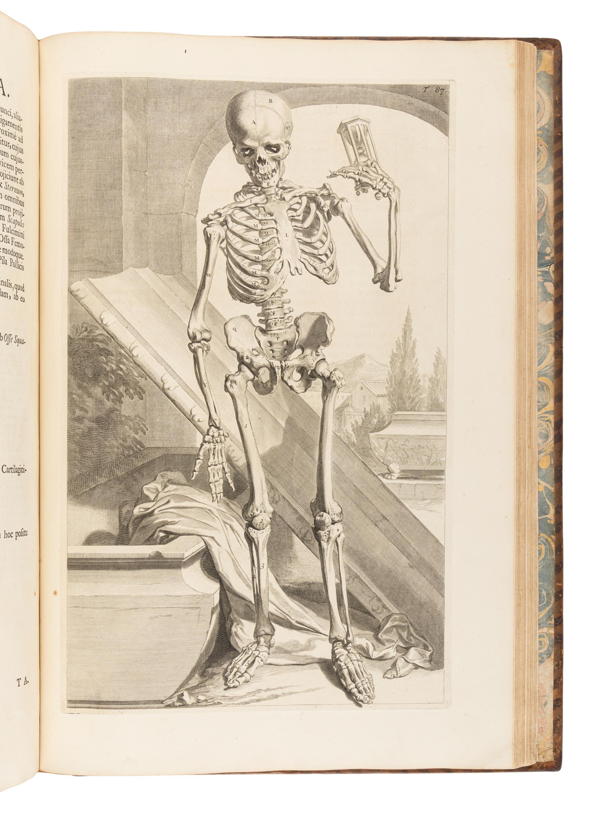 COWPER, William (1666-1709). Anatomia Corporum Humanorum Centum et Viginti Tabulis... ad Vivum expressis . Utrecht : Nicolaus Muntendam, 1750.