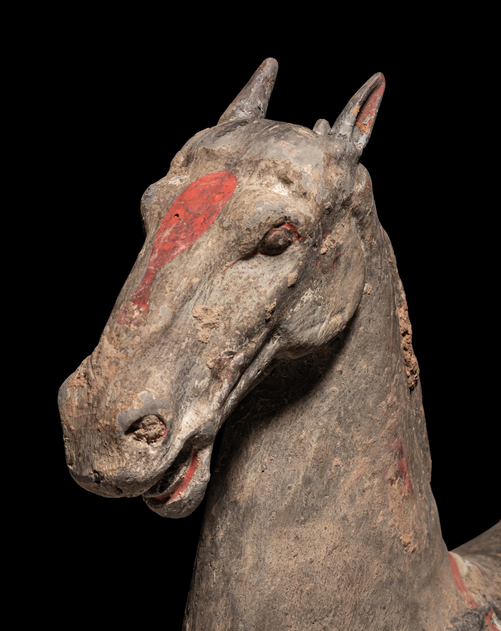 A Grey Pottery Figure of a Horse