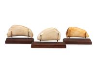 Three Scrimshaw Whale's Teeth