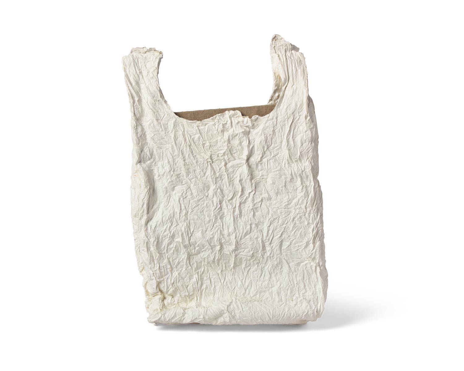 Bag With Canvas #1 , 2011