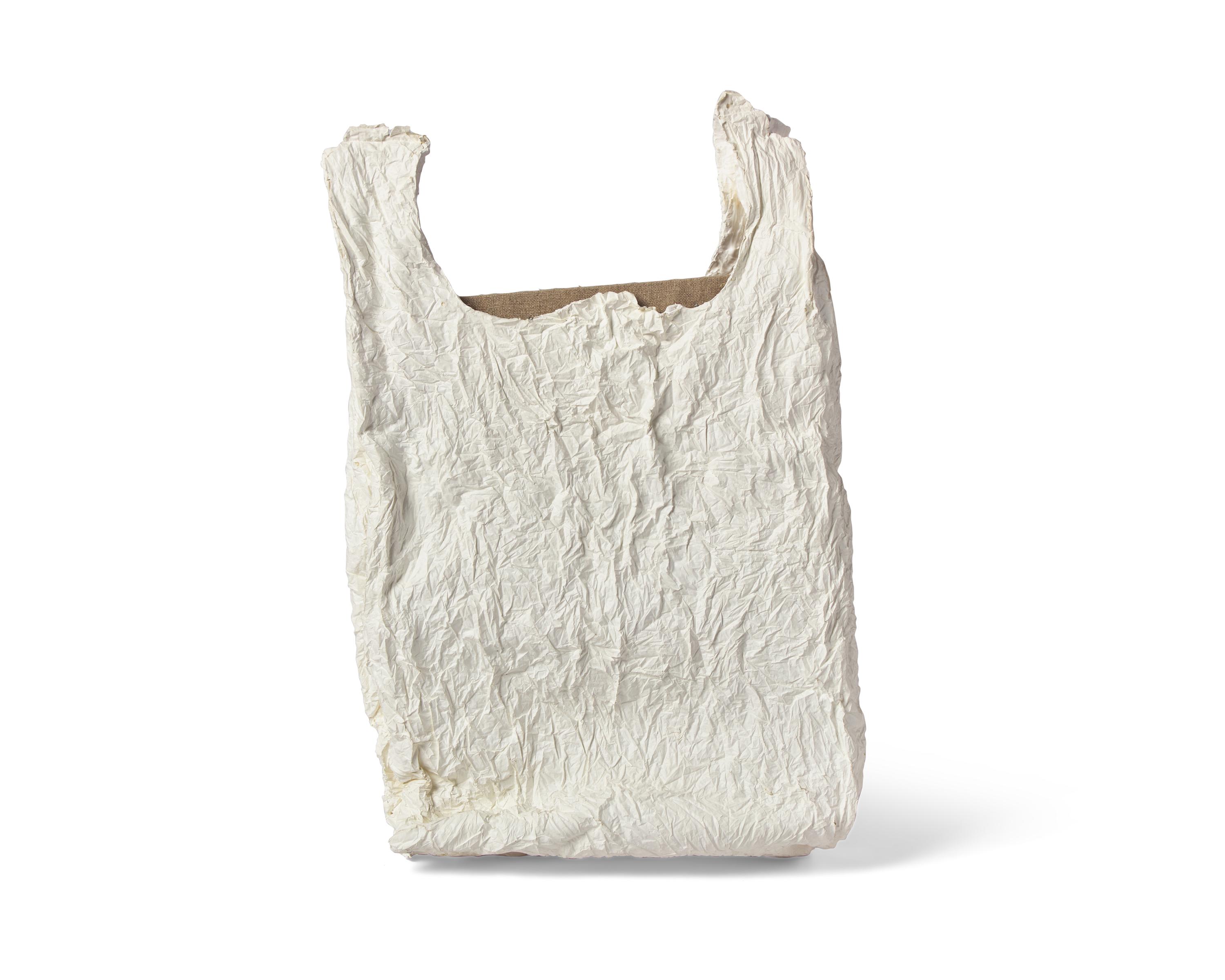 Bag With Canvas #1 , 2011