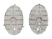 Four Regency Style Beaded Oval Wall Sconces