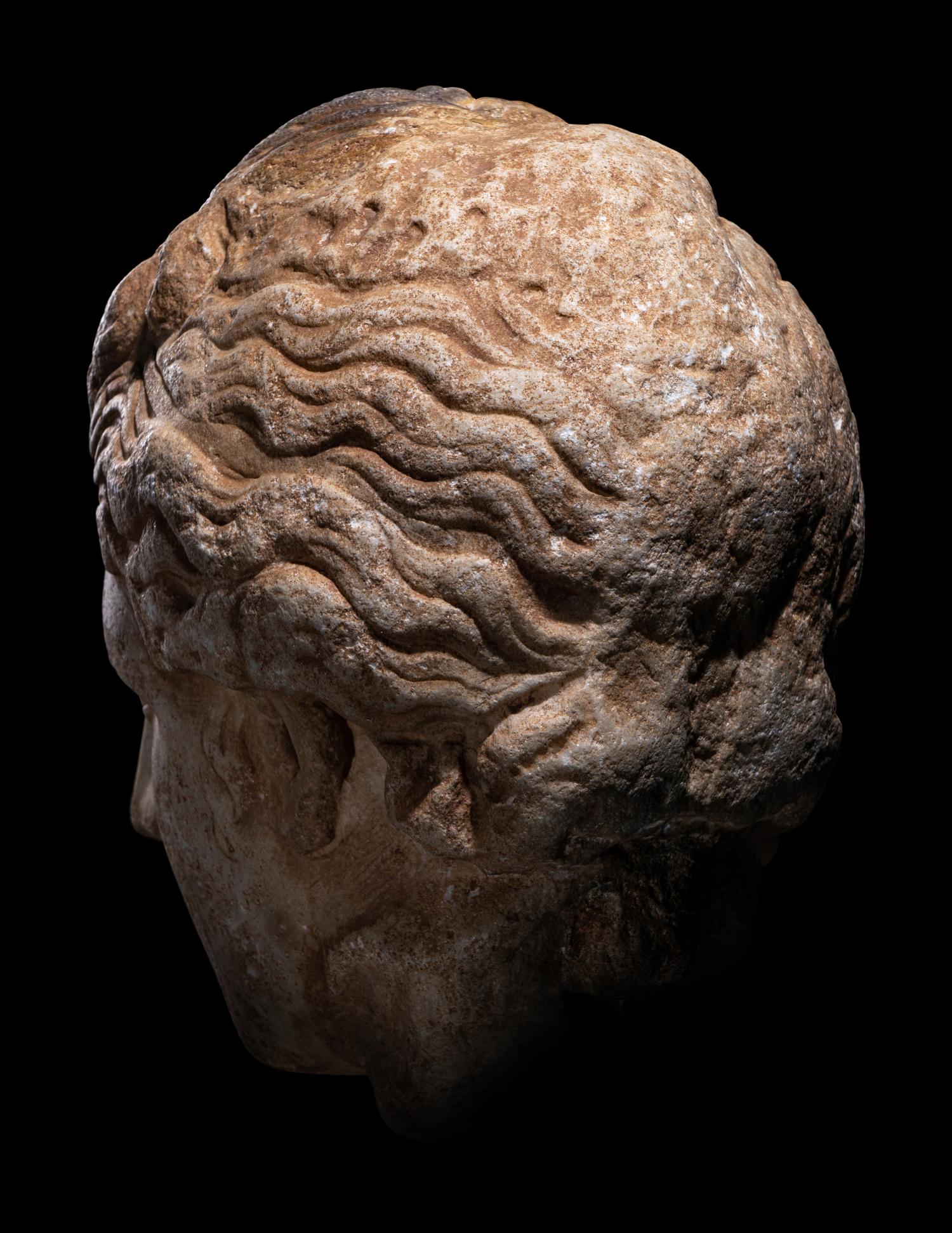 A Roman Marble Head of Venus (Capitoline Type)
