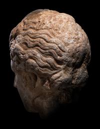 A Roman Marble Head of Venus (Capitoline Type)